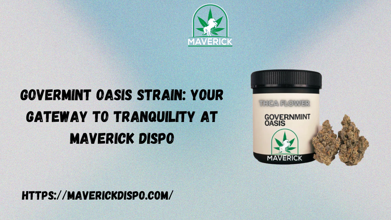 Govermint Oasis Strain: Your Gateway to Tranquility at Maverick Dispo