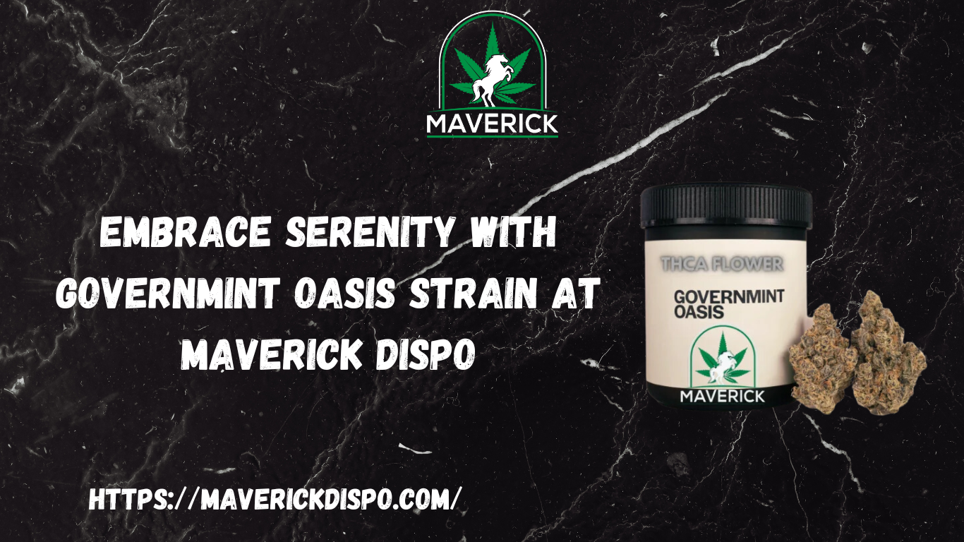 Embrace Serenity with Governmint Oasis Strain at Maverick Dispo