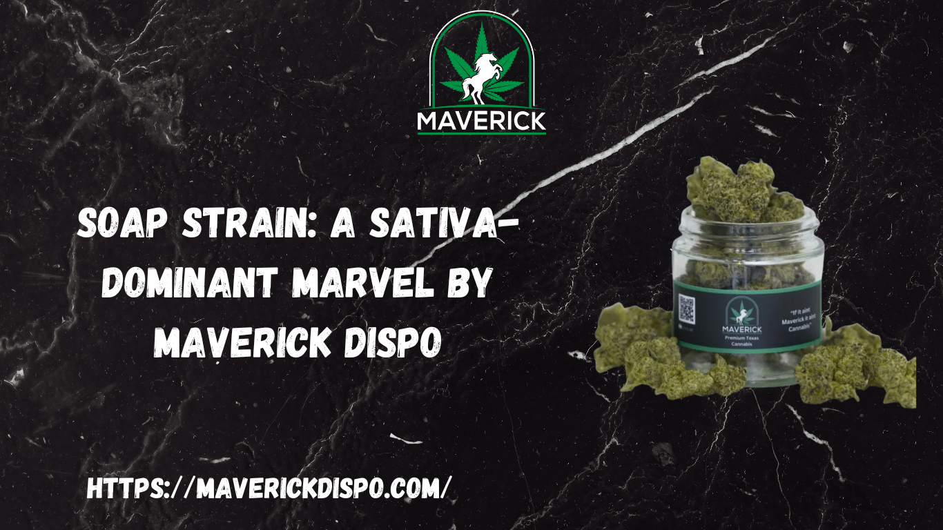 SOAP Strain: A Sativa-Dominant Marvel by Maverick Dispo