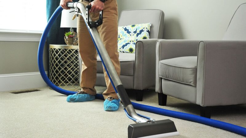 Best Professional Carpet Cleaners