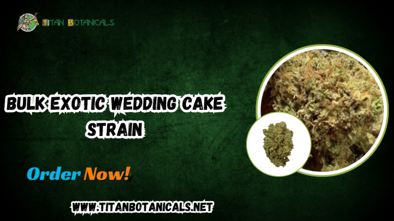 Bulk Exotic Wedding Cake Strain