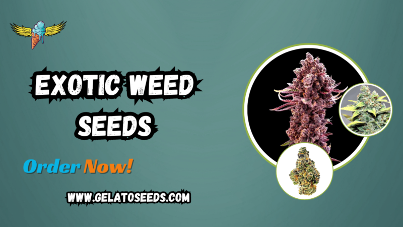 Exotic Weed Seeds