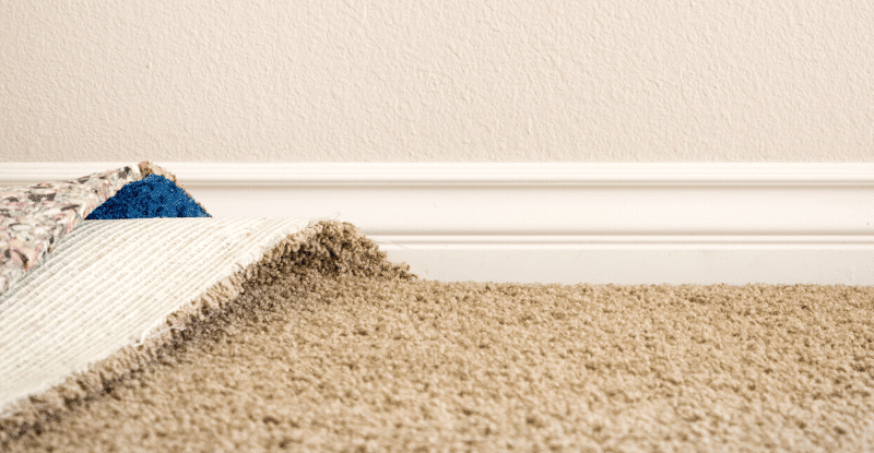 How To Clean Mold From Carpet?