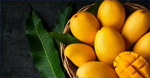 Search 1 peti Mango Price in Pakistan 2024