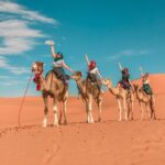 Unleash Best Desert Safari Adventure on a Budget