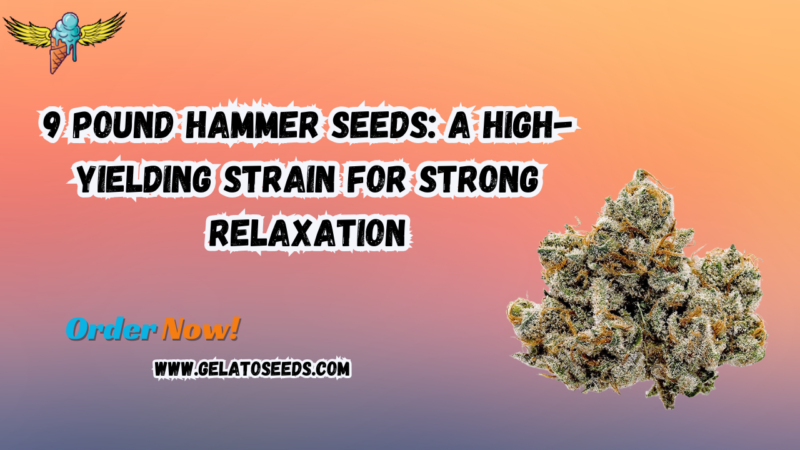 9 Pound Hammer seeds