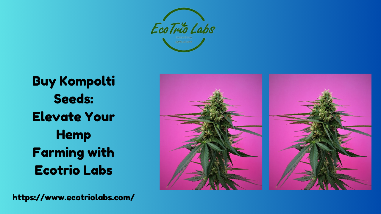 Buy Kompolti Seeds: Elevate Your Hemp Farming with Ecotrio Labs