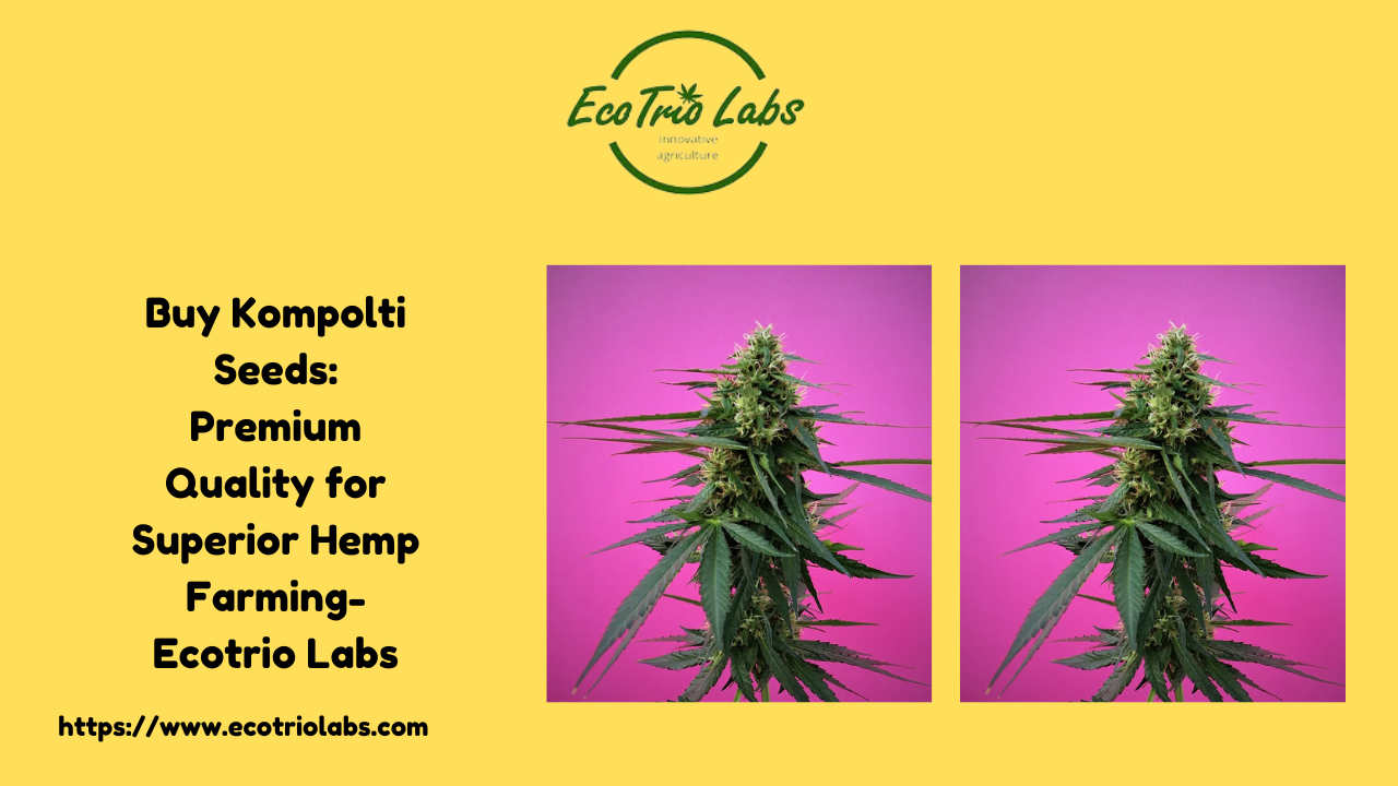 Buy Kompolti Seeds: Premium Quality for Superior Hemp Farming- Ecotrio Labs