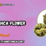 Buy THCA Flower