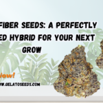 carbon fiber seeds