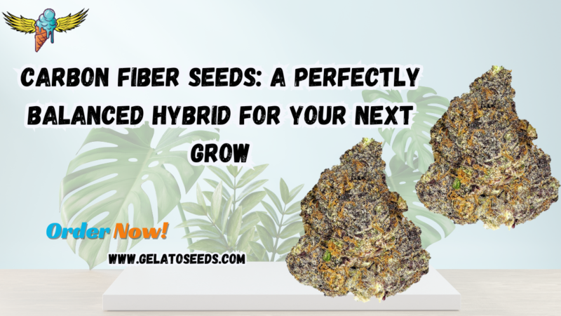 carbon fiber seeds