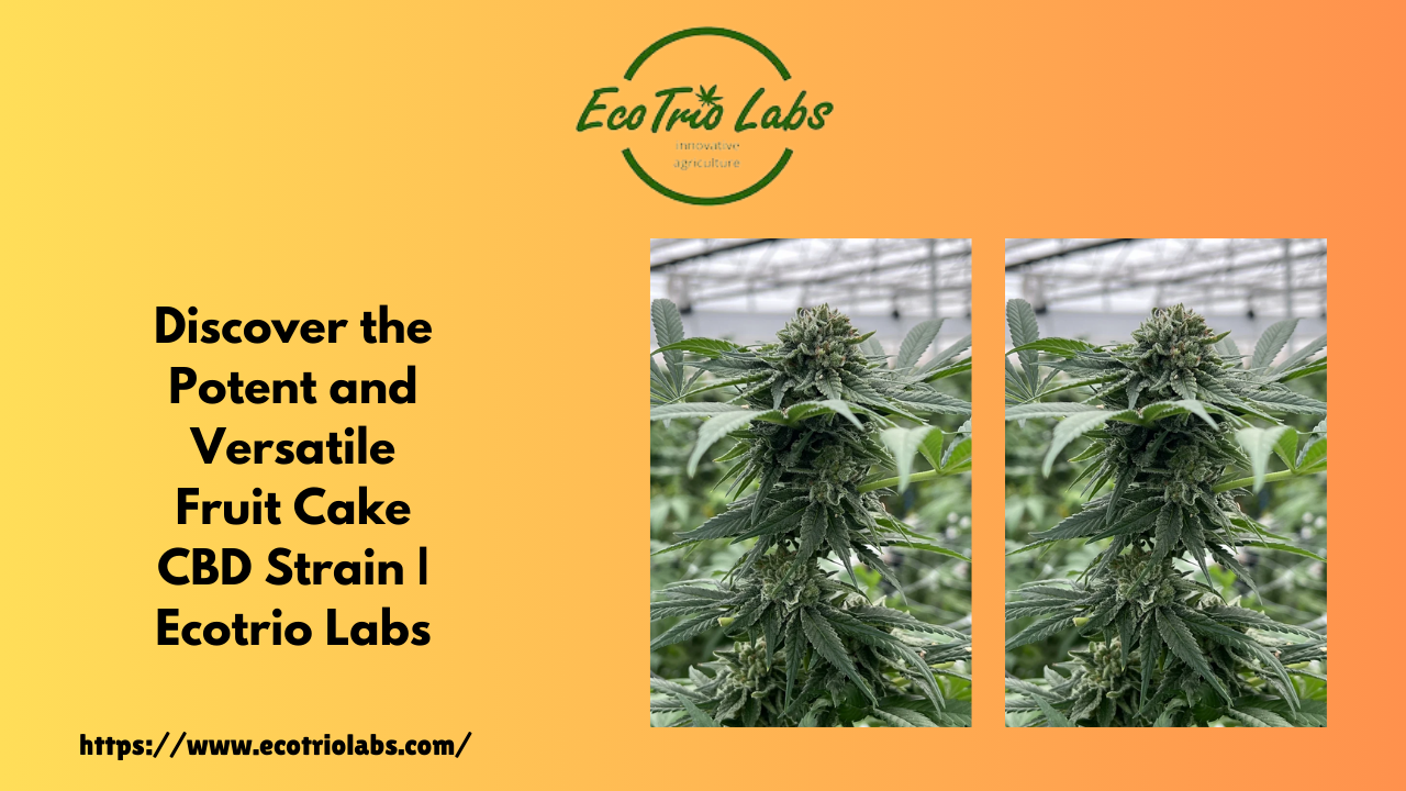 Discover the Potent and Versatile Fruit Cake CBD Strain | Ecotrio Labs