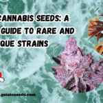 exotic cannabis seeds