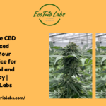 Fruit Cake CBD Feminized Seeds