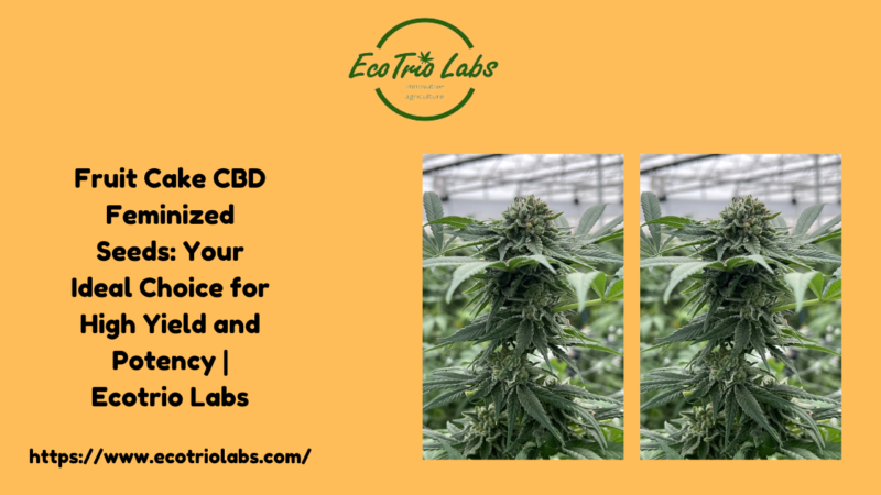 Fruit Cake CBD Feminized Seeds