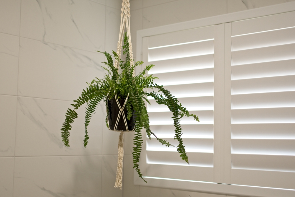 plantation shutters geraldton