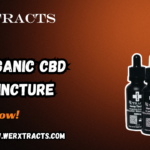 organic CBD tinctures