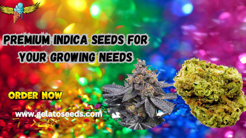 Indica seeds