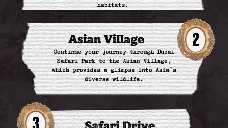 Safari Park