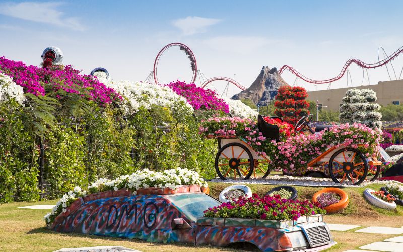 Dubai Miracle Garden