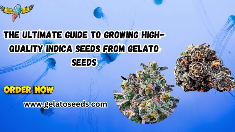 Indica seeds