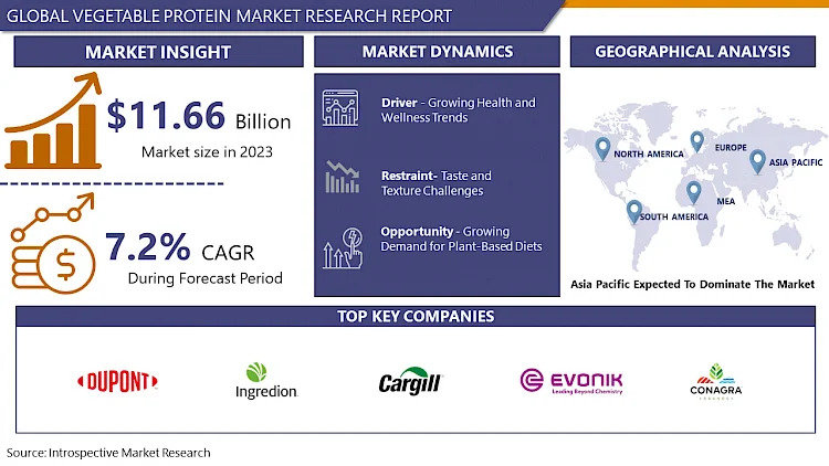 Global Vegetable Protein Market CAGR Of 7.2%, Business Developments And Demand Forecast 2032