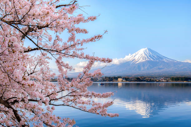 Discovering Japan: Top Tourist Destinations