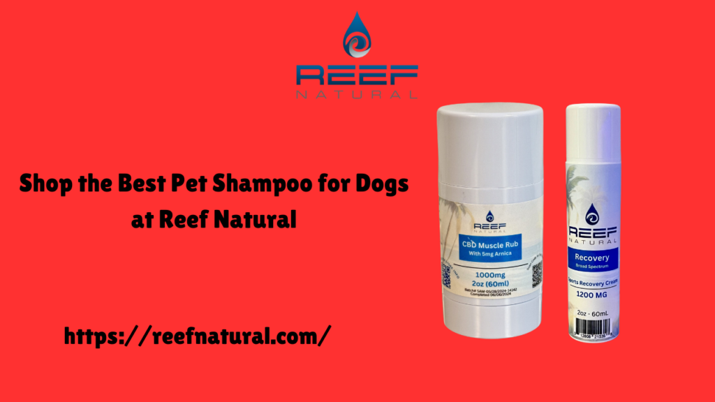 CBD Pet Shampoo