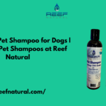 Pet Shampoo