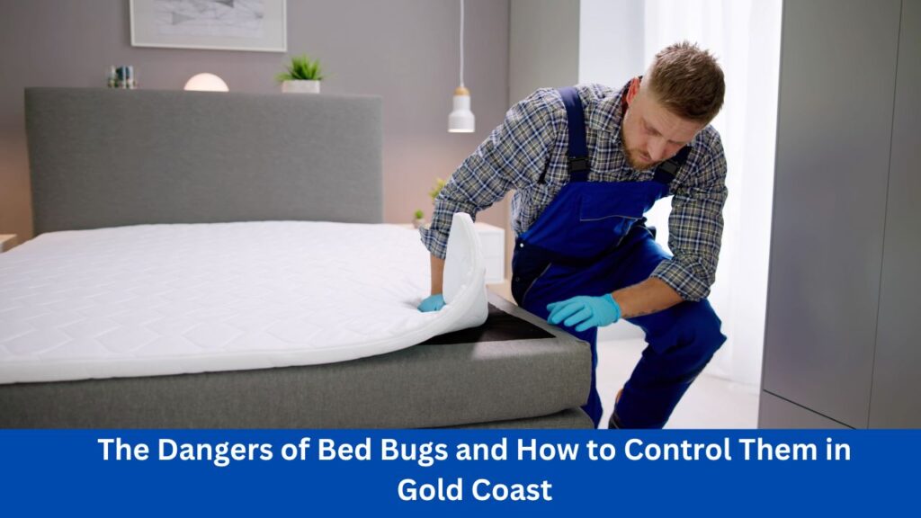 Bed Bug Treatments