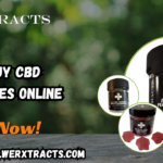 buy CBD edibles online