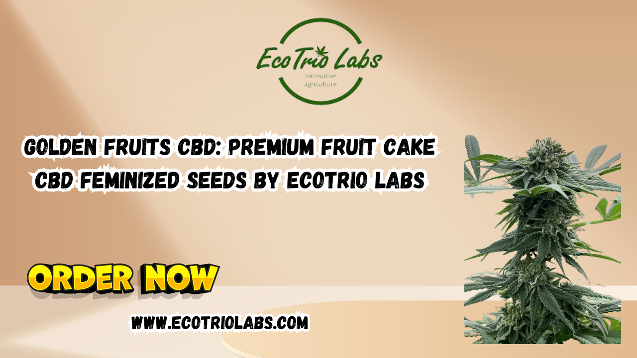 Golden Fruits CBD: Premium Fruit Cake CBD Feminized Seeds by Ecotrio Labs