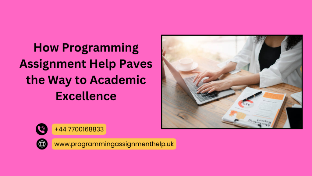 Programming Assignment Help