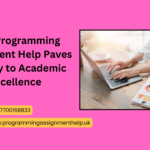 Programming Assignment Help