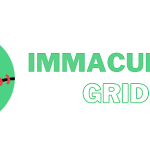 Introduction To Immaculate Grid Game – Fun and Challenging Game