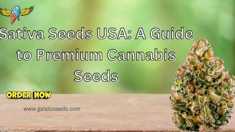 Sativa seeds USA