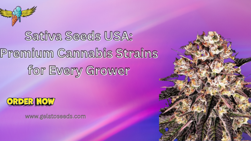 Sativa seeds USA