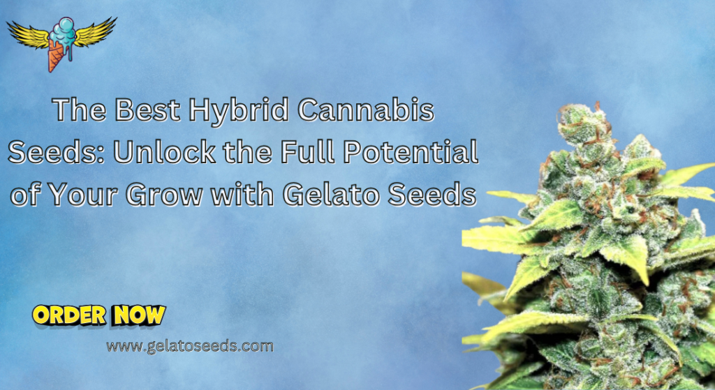 best hybrid cannabis seeds