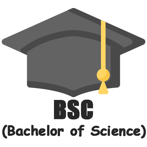 From Classrooms to Careers: The Impact of a BSc Degree