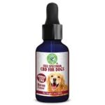 cbd oil for dogs 600