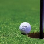 Golf Turf Manufacturer