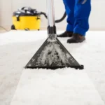 Carpet Cleaner Service