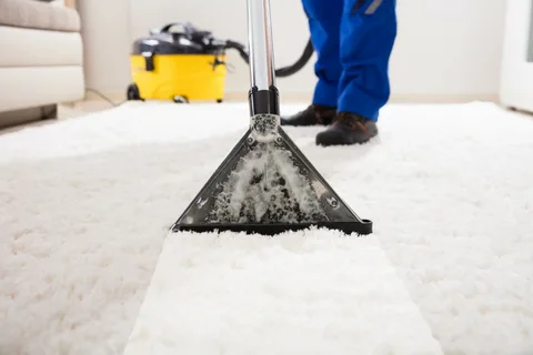 Carpet Cleaner Service