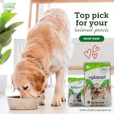 best commercial dog food for cancer