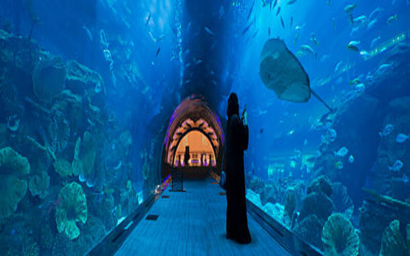 About Dubai Mall Aquarium