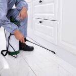 Pest Control Service in Perth