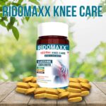 Enhancing Cartilage Health with Knee Care Supplements