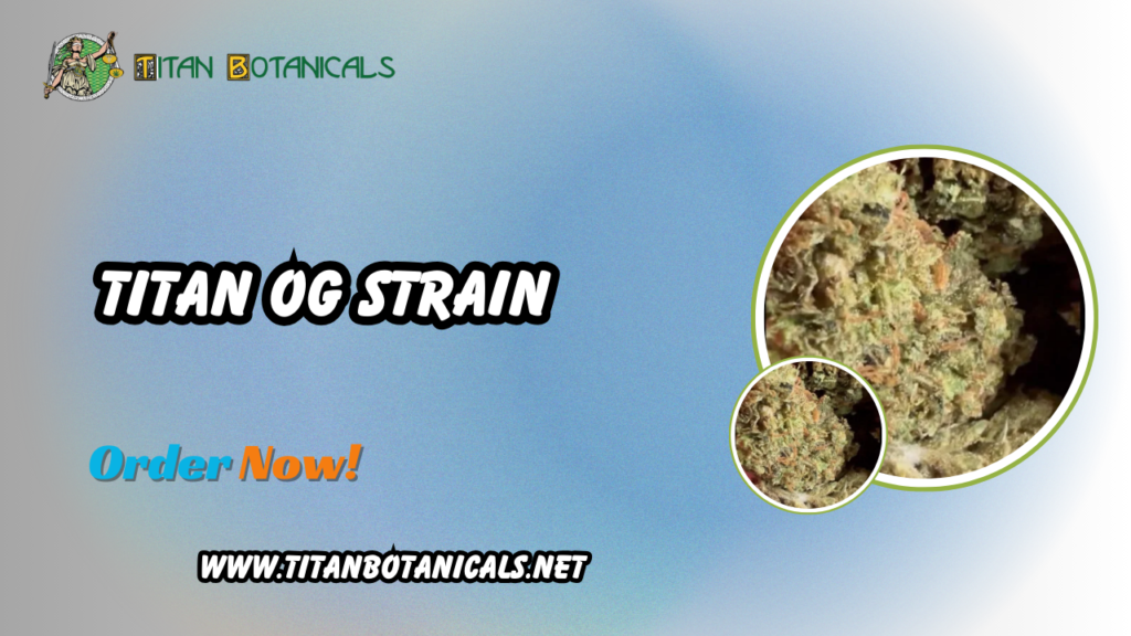 Titan OG Strain