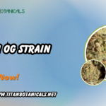 Titan OG Strain