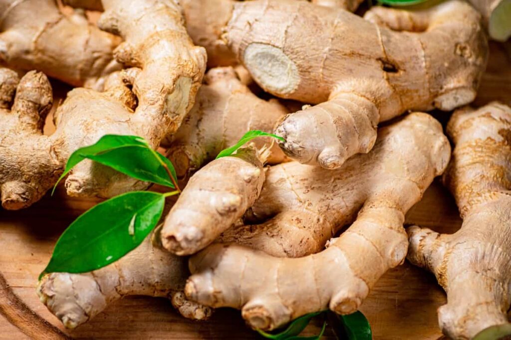 A Farmer’s Guide to Ginger Cultivation, Care, and Harvesting